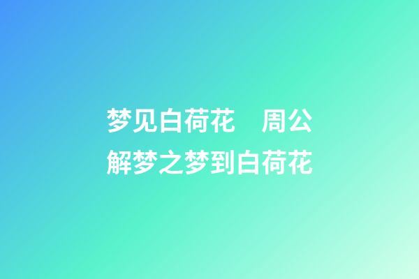 梦见白荷花　周公解梦之梦到白荷花